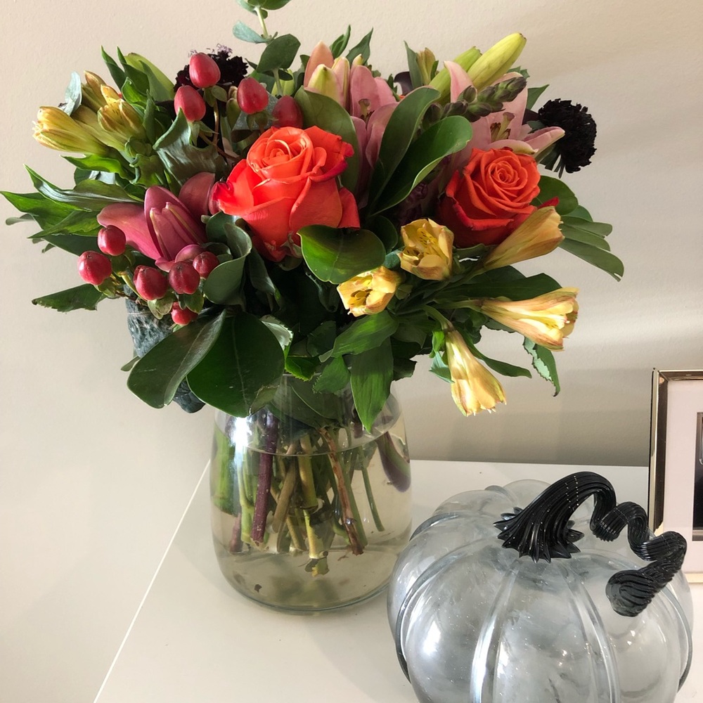 Meet your Posher, Lauren